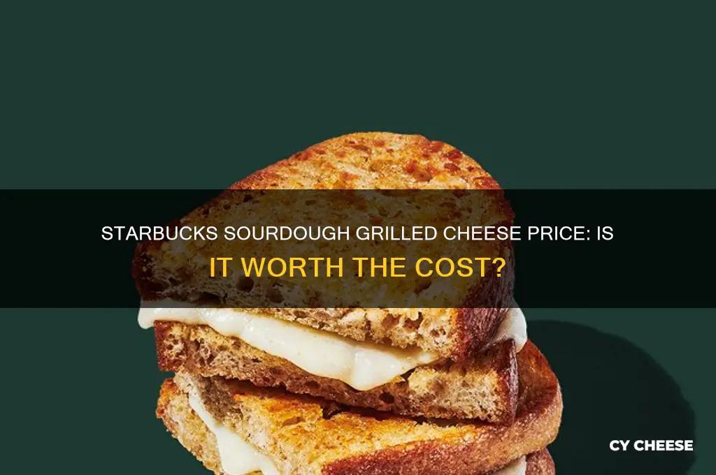 how much is a sourdough grilled cheese at starbucks