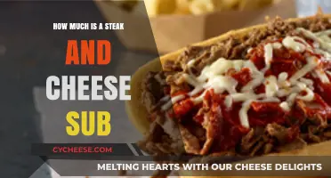 Steak and Cheese Sub Cost: Budget-Friendly or Pricey Indulgence?
