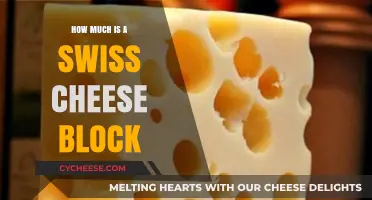 Swiss Cheese Block Pricing: Cost Factors and Market Value Explained