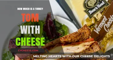 Turkey Tom with Cheese: Cost, Value, and Deliciousness Explored