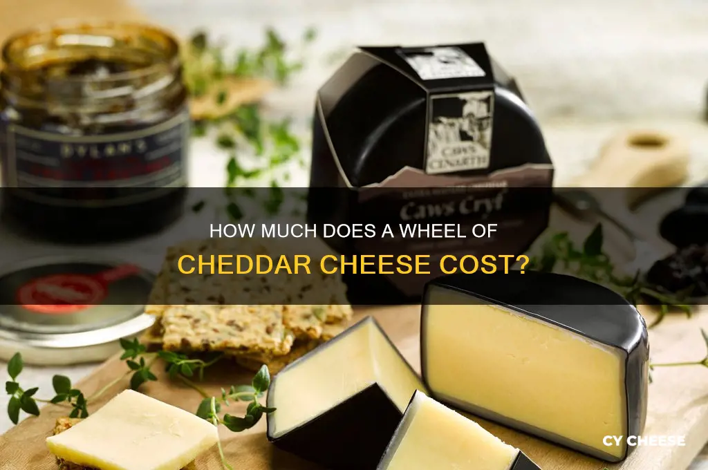 how much is a wheel of cheddar cheese