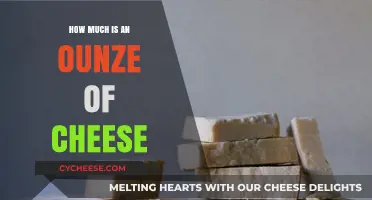 How Much Does an Ounce of Cheese Cost? A Price Guide