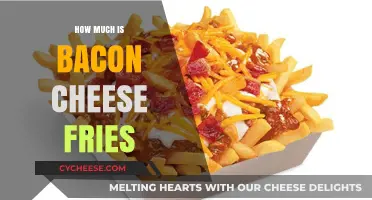 Bacon Cheese Fries Price Guide: How Much Should You Pay?