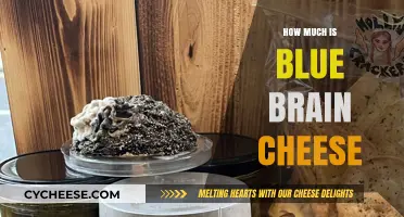 Exploring the Cost of Blue Brain Cheese: A Gourmet's Guide