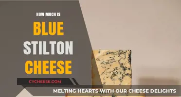 Blue Stilton Cheese Price Guide: Cost Factors and Value Insights