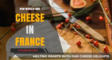 Brie Cheese Prices in France: A Tasty Budget Guide