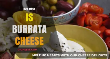 Burrata Cheese Price Guide: Cost Factors and Budget-Friendly Tips