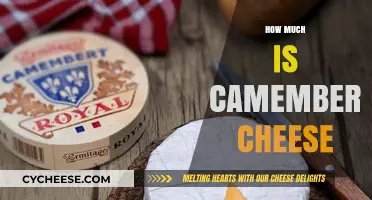 Camembert Cheese Price Guide: Cost, Factors, and Budget-Friendly Tips