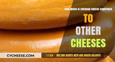 Cheddar Cheese Price Comparison: How It Stacks Up to Other Cheeses