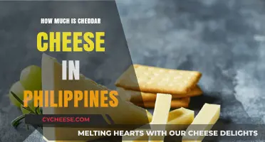 Cheddar Cheese Prices in the Philippines: A Comprehensive Guide