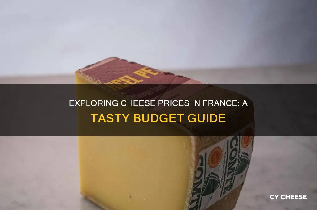 how much is cheese in france