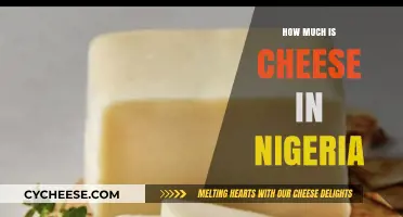 Cheese Prices in Nigeria: A Comprehensive Guide to Costs and Varieties