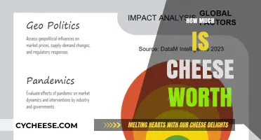 Understanding the Value of Cheese: A Comprehensive Price Analysis