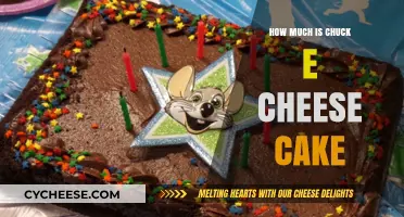 Chuck E. Cheese Cake Prices: A Sweet Deal or Costly Treat?