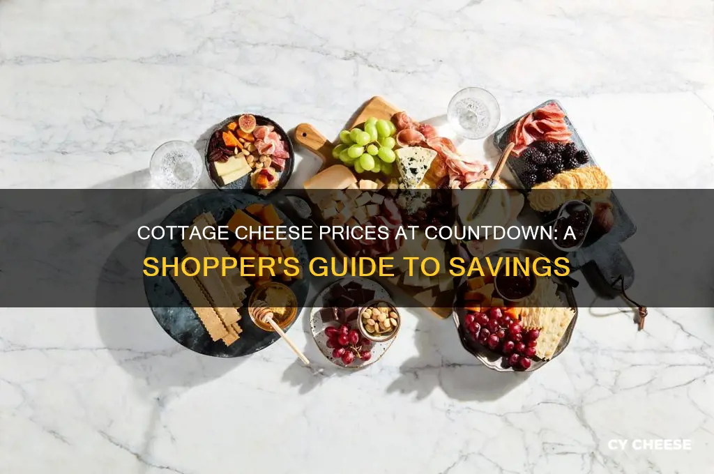 how much is cottage cheese at countdown
