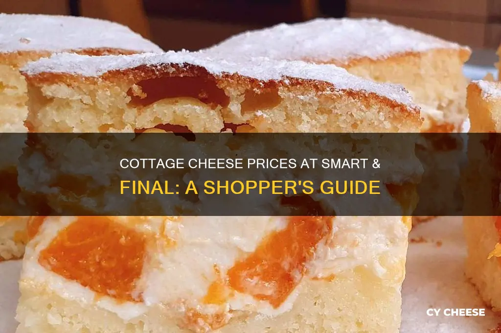 how much is cottage cheese at smart and final