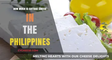 Cottage Cheese Price Guide: Affordable Options in the Philippines