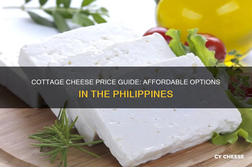 how much is cottage cheese in the philippines