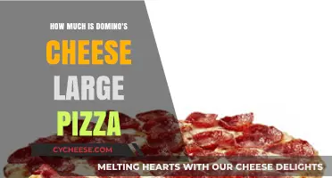 Domino's Large Cheese Pizza Price: A Complete Cost Breakdown