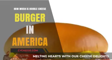 Double Cheese Burger Prices Across America: A Tasty Cost Breakdown