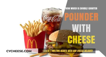 Double Quarter Pounder with Cheese Price: A Tasty Investment?