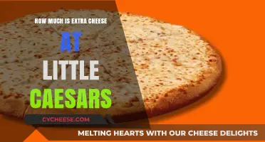 Little Caesars Extra Cheese Price: Is It Worth the Upgrade?