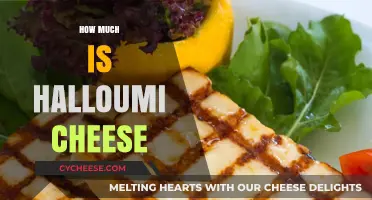 Discover the Surprising Cost of Halloumi Cheese: A Price Guide