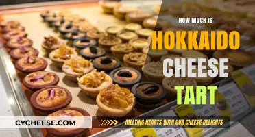 Discover the Price of Hokkaido Cheese Tarts: A Sweet Investment?