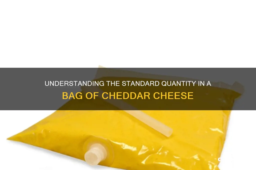 how much is in a normal bag of cheddar cheese