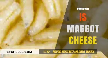 Exploring the Cost of Maggot Cheese: A Unique Culinary Delicacy