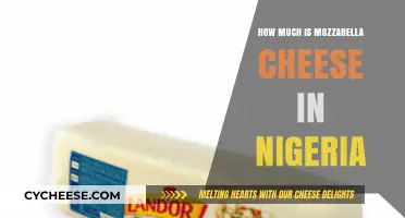 Mozzarella Cheese Price in Nigeria: Cost, Availability, and Buying Tips