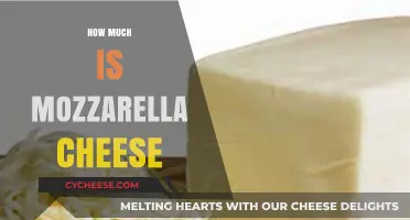 Mozzarella Cheese Price Guide: Costs, Factors, and Budget-Friendly Tips