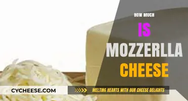 Mozzarella Cheese Price Guide: How Much Does It Cost?