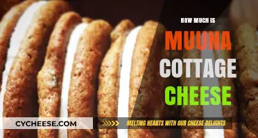 Muuna Cottage Cheese Price Guide: Cost and Value Insights