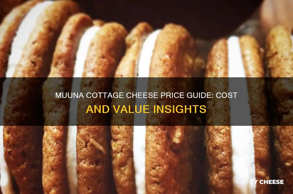 how much is muuna cottage cheese