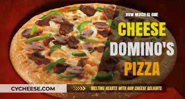 Discover the Price of a Single Cheese Domino's Pizza Today