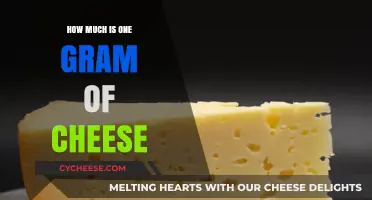 Understanding the Cost: How Much is One Gram of Cheese?