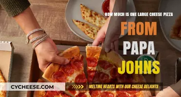 Papa John's Large Cheese Pizza Price: What You Need to Know