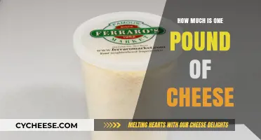 Understanding the Cost: How Much is One Pound of Cheese?