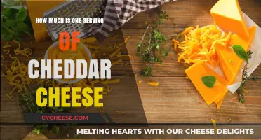 Understanding the Perfect Serving Size of Cheddar Cheese
