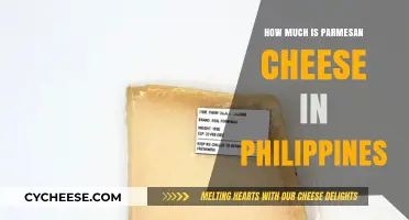 Parmesan Cheese Price in the Philippines: A Cost Guide