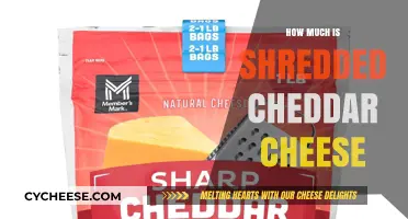 Shredded Cheddar Cheese Cost: Budget-Friendly Pricing Guide Revealed