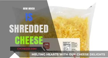 Shredded Cheese Pricing Guide: Costs, Factors, and Budget-Friendly Tips