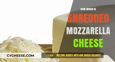 Shredded Mozzarella Cheese Price Guide: Costs and Budget Tips
