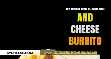 Sonic's Ultimate Meat and Cheese Burrito Price: Is It Worth It?