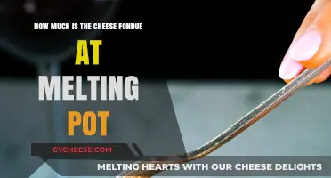 Melting Pot Cheese Fondue Price: A Tasty Indulgence Worth Every Penny