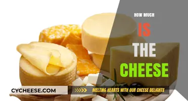 Exploring Cheese Prices: Factors, Varieties, and Cost-Effective Choices