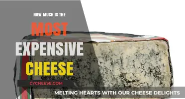 The World's Priciest Cheese: Unveiling the Costliest Dairy Delight