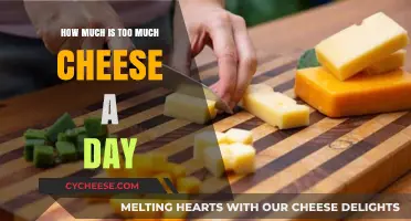 Cheese Consumption Limits: How Much is Too Much Daily?
