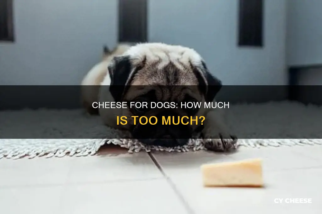 how much is too much cheese for dogs